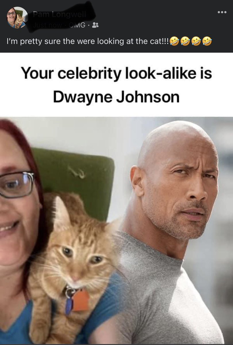 AnimeAddictMom's tweet photo. I’m VERY SURE they were comparing the cat!!!! https://t.co/HpOASDIIqC