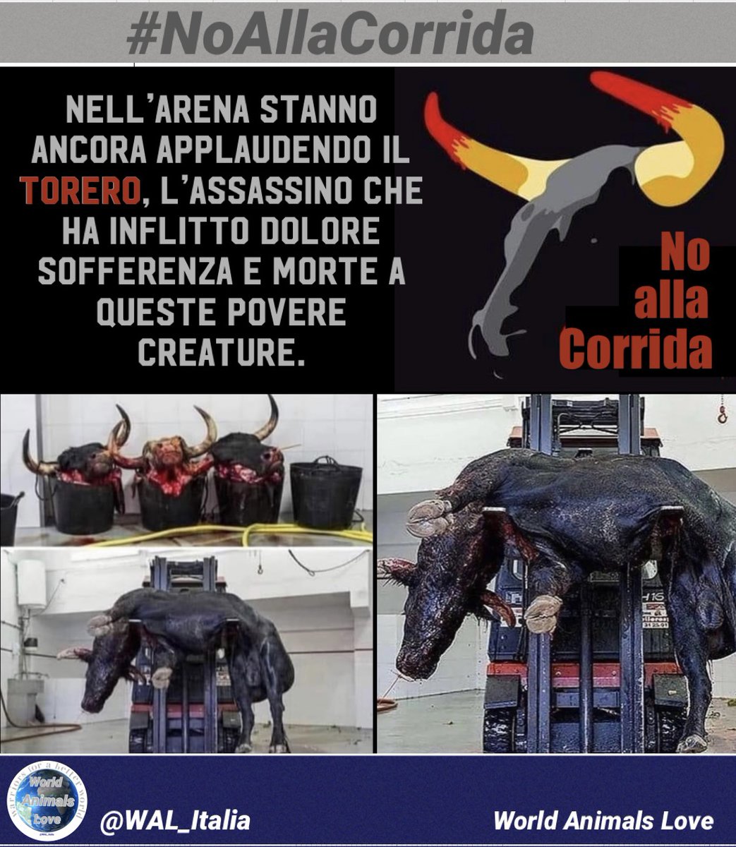 WAL_Italia's tweet photo. Non vi è giustificazione alle atrocità che avvengono nelle #corride, al disprezzo con cui gli animali sono trattati alla loro sofferenza, non giustificabile nemmeno se fosse utile, perché l'utilità per qualcuno non rende lecita la violenza su qualcun altro !
#NoAllaCorrida https://t.co/Z2HX78WOQP