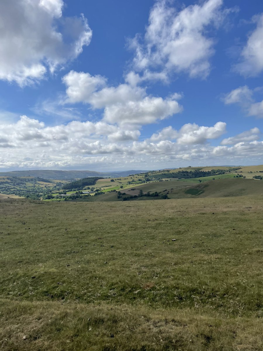 EDA Security LLP tweet media