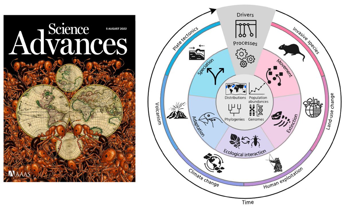 Damien Fordham (@damienfordham) on Twitter photo Thinking of modelling biodiversity dynamics? Then check out our new paper and guidelines in <a href="/ScienceAdvances/">Science Advances</a> involving @ecomodeling <a href="/Carsten_Rahbek/">Carsten Rahbek</a> & Rob Colwell science.org/doi/10.1126/sc…
#ecology Thinking of modelling biodiversity dynamics? Then check out our new paper and guidelines in <a href="/ScienceAdvances/">Science Advances</a> involving @ecomodeling <a href="/Carsten_Rahbek/">Carsten Rahbek</a> & Rob Colwell science.org/doi/10.1126/sc…
#ecology