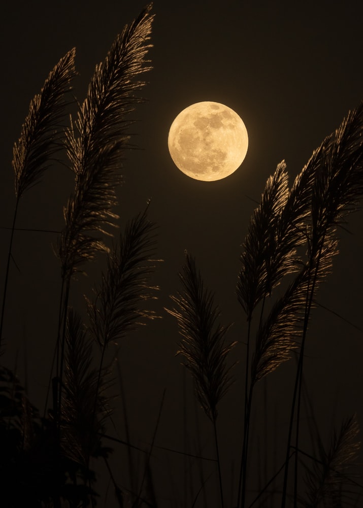 golden moon.