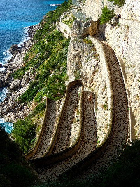 robinripley's tweet photo. Cliffside Path, Isle of Capri, Italy #CliffsidePath #IsleofCapri #Italy https://t.co/2KCZrln8Qw https://t.co/lu2bsNqR8H