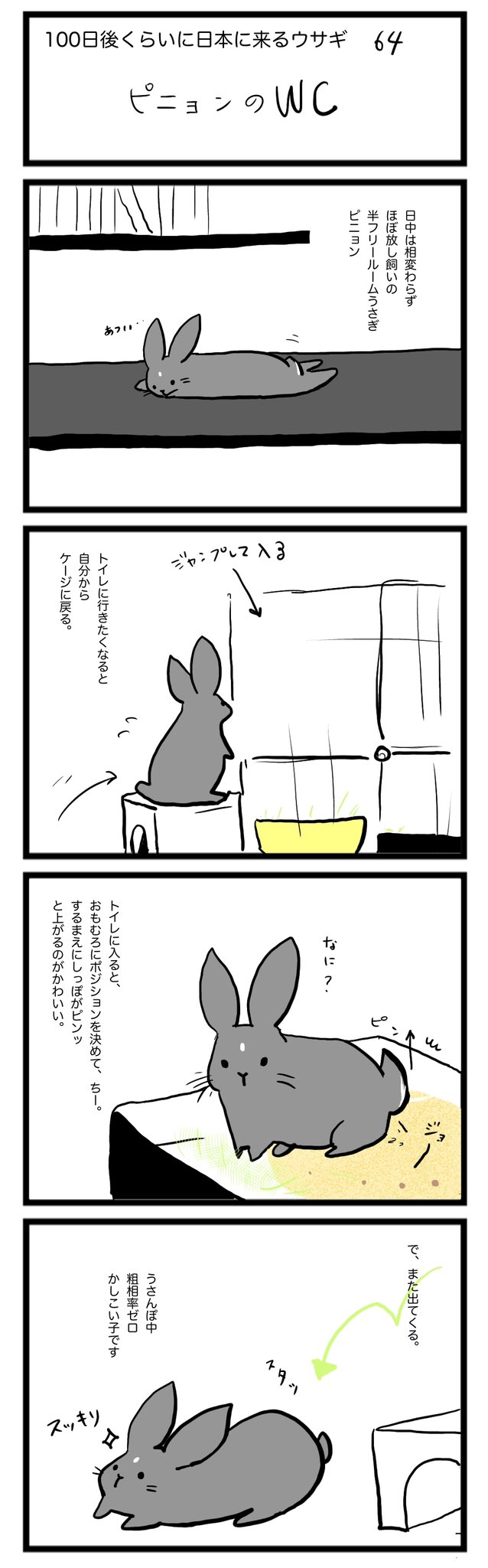 100日後くらいに日本に来るウサギ のイラスト マンガ コスプレ モデル作品 15 件 Twoucan 100日後くらいに日本に来るウサギ のイラスト マンガ コスプレ モデル作品 15 件 Twoucan