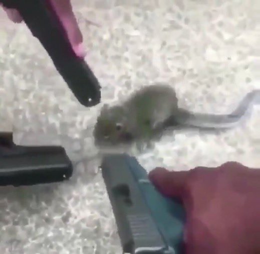 Crys____CM's tweet image. Ya déjame dormir