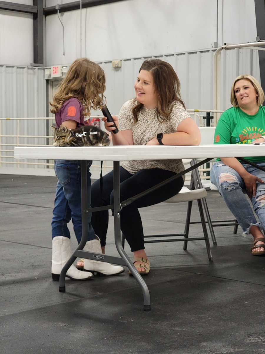 ExtensionHack's tweet photo. Diary of an Extension Assistant day 5 of fair:

There was waffles, sausage, the swine show, small animal round robin, livestock judging, and much more excitement...and I nabbed no phone pictures. This will be a fair we soon will not forget. Tomorrow is the end, join us! https://t.co/3CuvT18Zj5