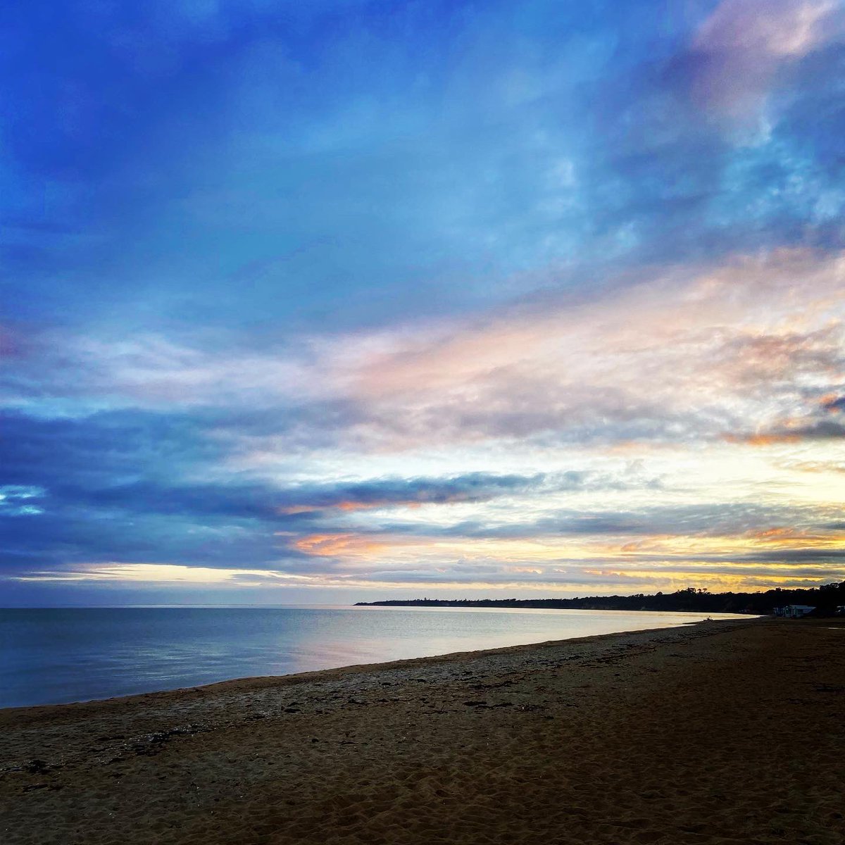 Day 464 straight in the bay looked like this 🙌🏼🏊🏽‍♀️