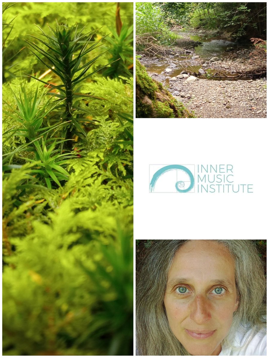 innermusic.institute