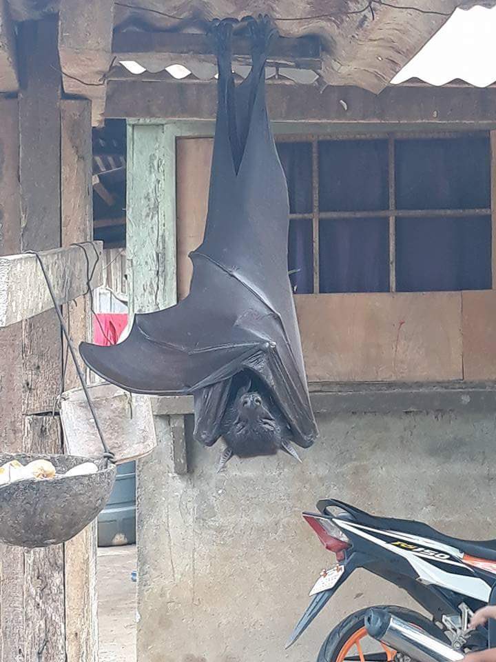 StatusQuow's tweet photo. Wtf? Y’all found Dracula https://t.co/ryuSKrn6xv