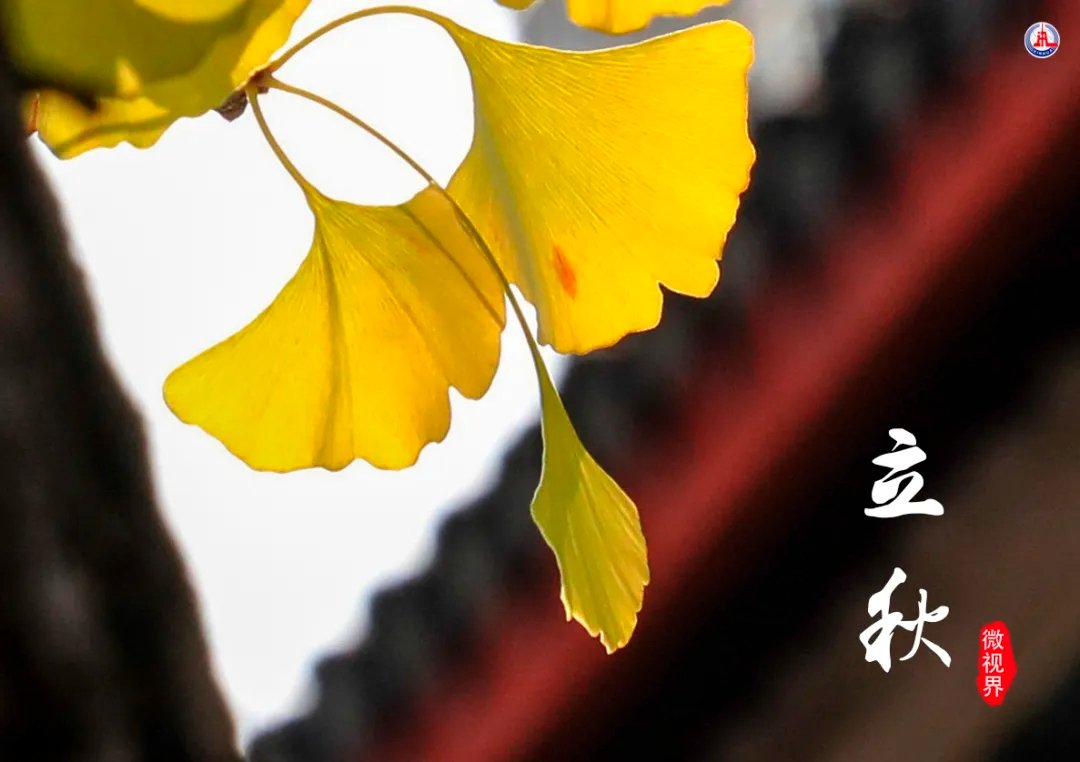 Chunyu 春雨on Twitter 今天立秋了 和夏天告别 与秋天相拥 让我们带着感恩上路 一路良辰美景 一路花开满地 且行且珍惜 去收获秋天的硕果累累 去奔向下一个美好四季 T Co Asefcf5jv0 Twitter Chunyu 春雨on Twitter 今天立秋了 和夏天告别 与秋天相拥 让我们带着感恩上路 一路良辰美景 一路花开满地 且行且珍惜 去收获秋天的硕果累累 去奔向下一个美好四季 T Co Asefcf5jv0 Twitter