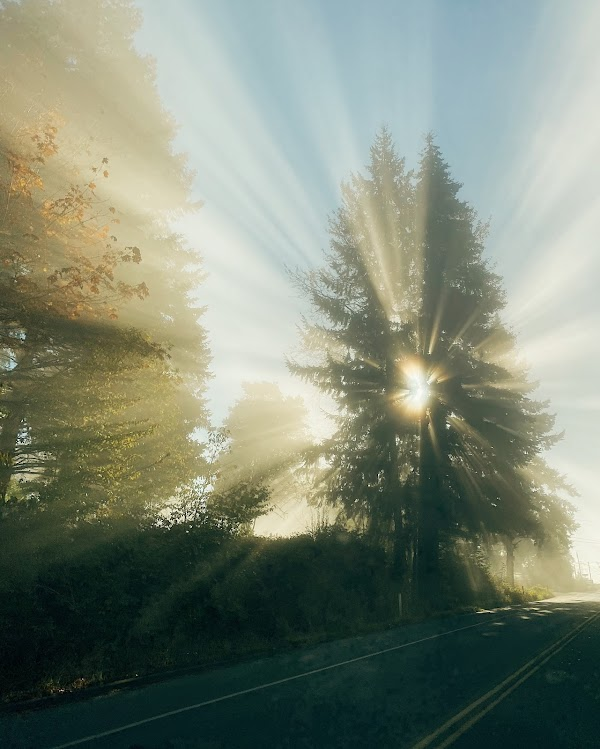 GM GM
I just wake up and see this beauty
thanks <a href="/withhearts/">Withhearts</a> for this, it's kinda my first NFT!