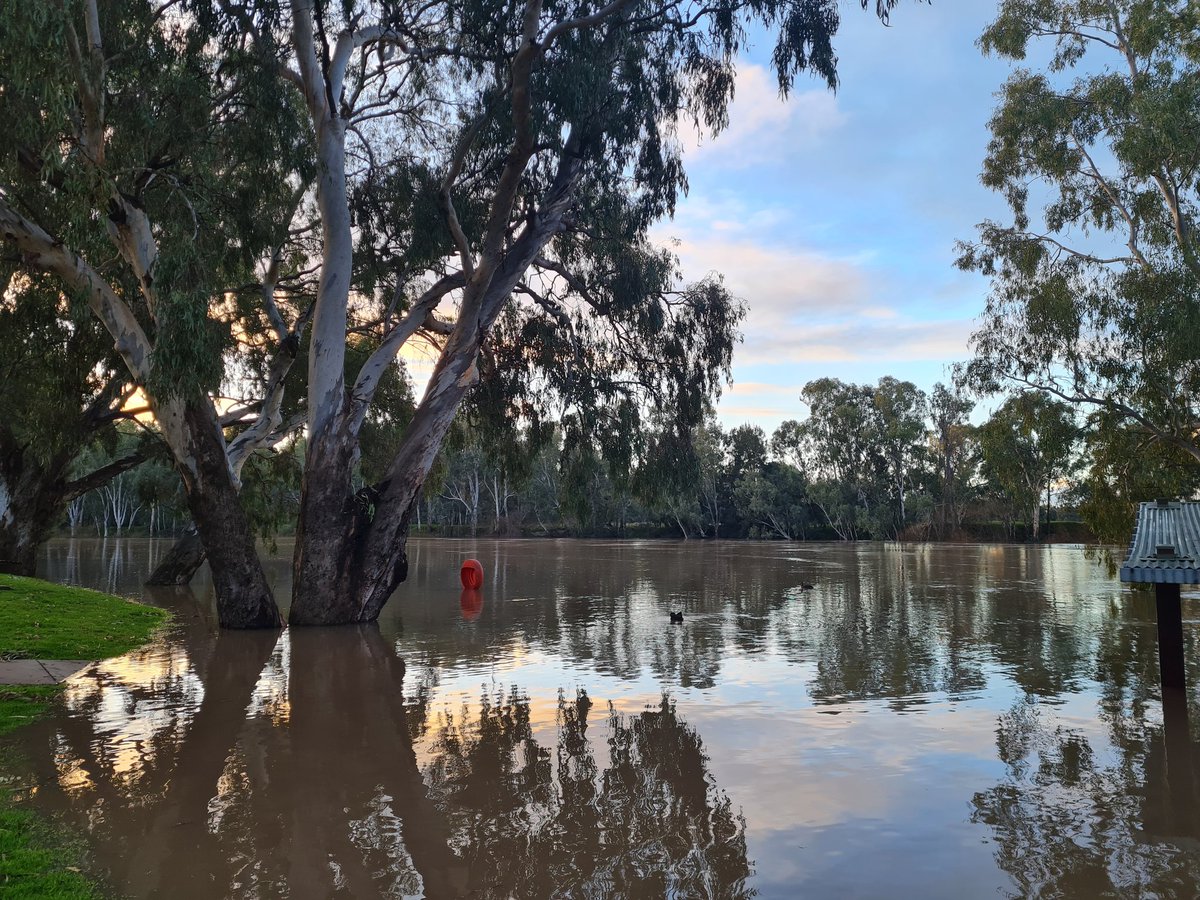 KassDavis's tweet photo. Heading home for 2 day after a long week before heading back again. 
#wagga #flood https://t.co/GAwua5ob00