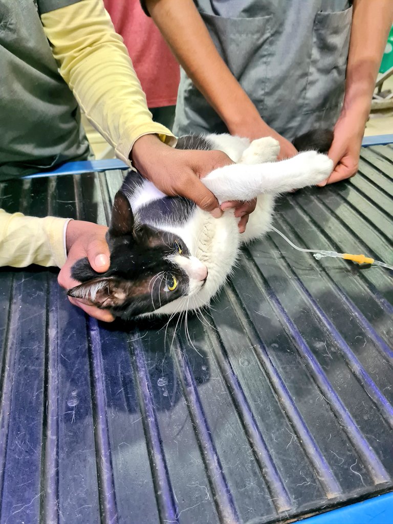 𝗦𝗮𝗻𝗶𝗹 tweet media