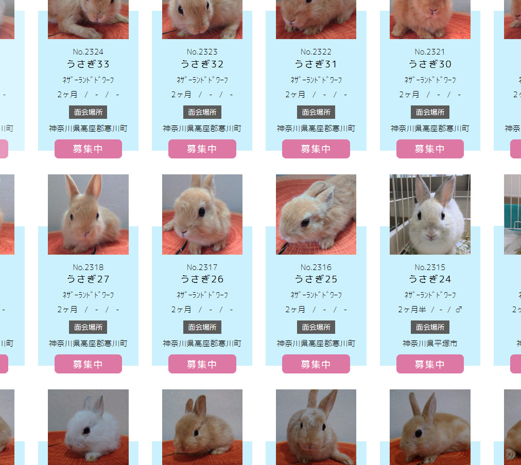 アニプロ on X: アニプロ on X: