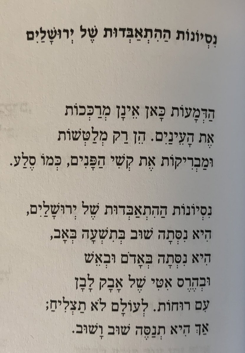 Tamar Ish Shalom תמר tweet media