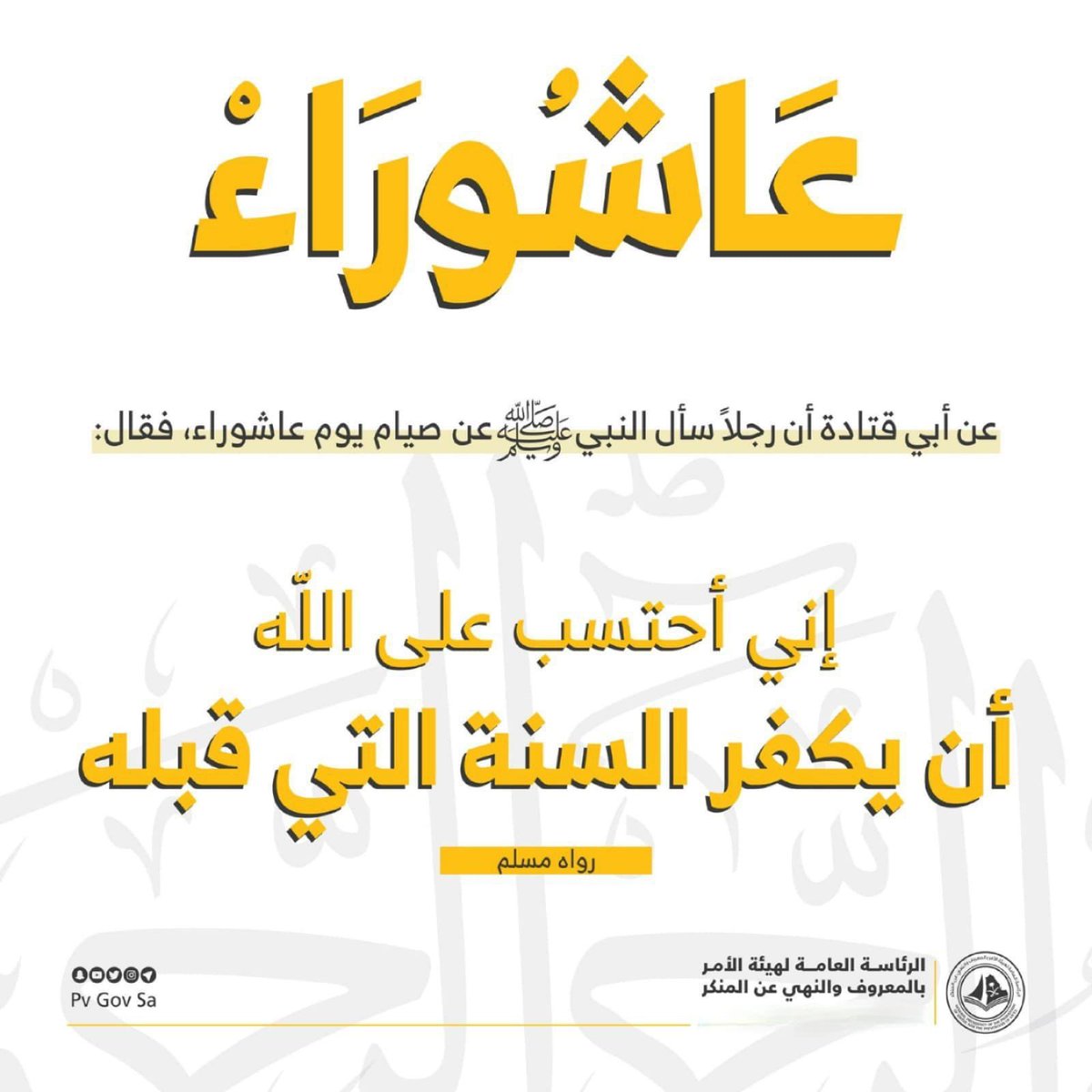 فلاح القحطاني( أبو ريان ) (@aburyan1100) on Twitter photo 