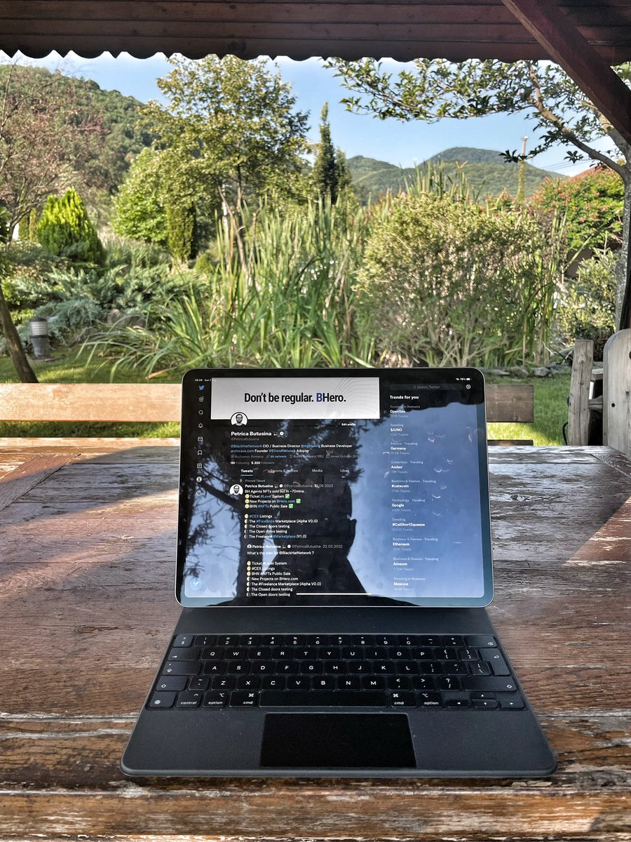 Petrica Butusina tweet media