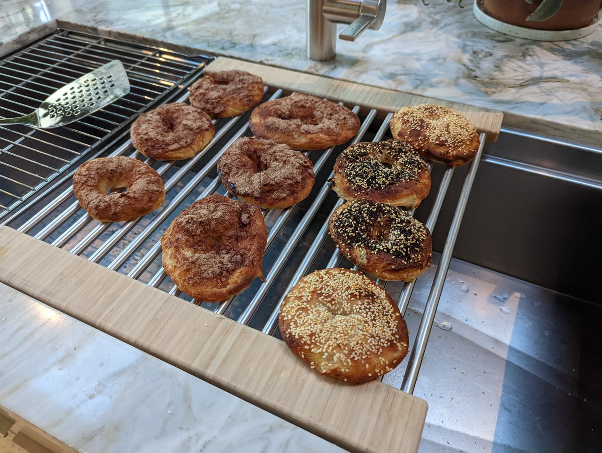 Talia Ringer 🕊 tweet media