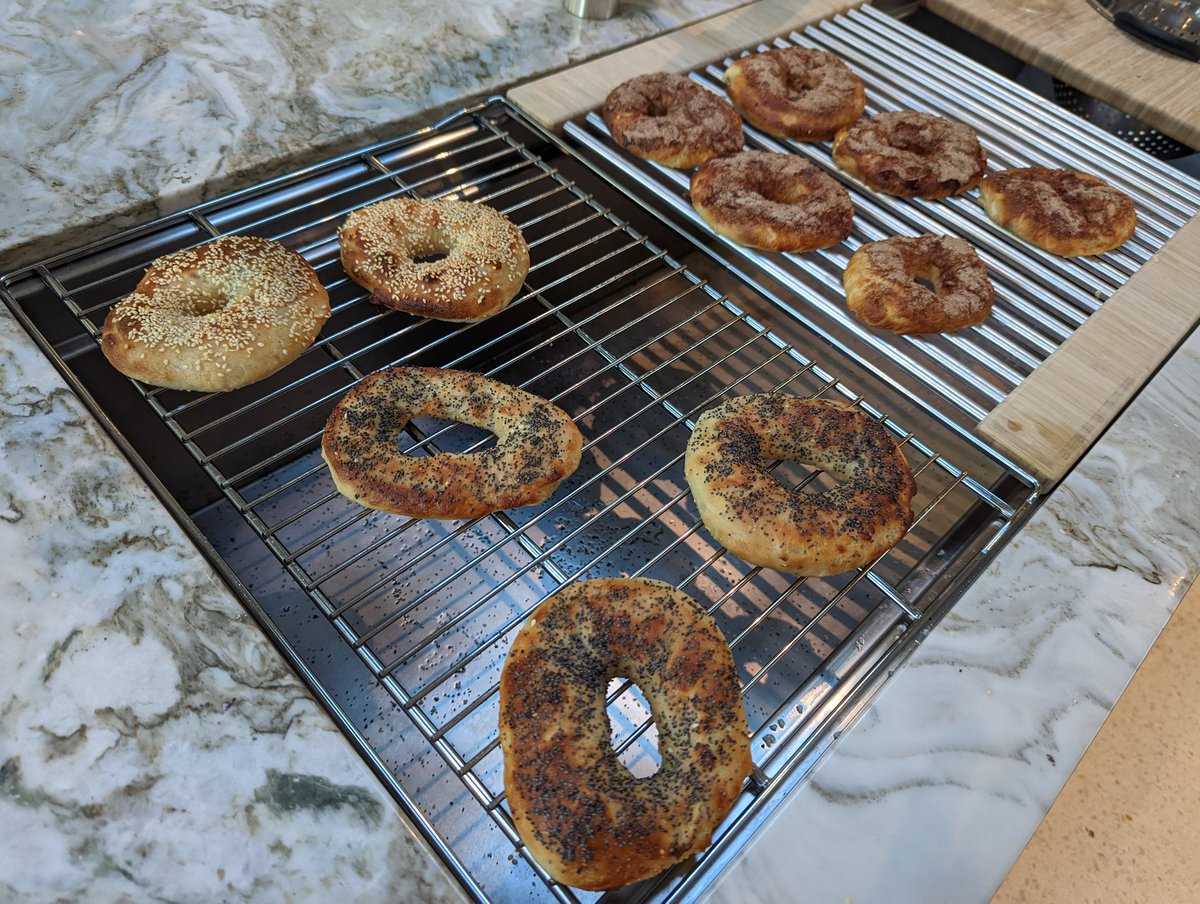 Talia Ringer 🕊 tweet media