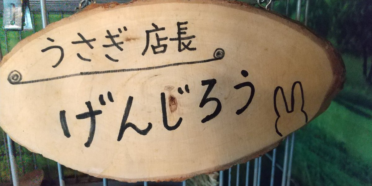 TRASHMZ23's tweet photo. 前回は宿泊させてもらったけど、今回はランチで来ました！里芋が入ったカレー、美味しかった💕
うさぎ店長「げんじろう」くんも元気そう！
「前来に話していた、横浜ザイバツさんの雑誌出来ました～！」と、ご主人に渡して来ました！✌️😆イェイ

#九度山 #げんじろうの昼ごはん #横浜ザイバツ https://t.co/uPi4O6vqWO
