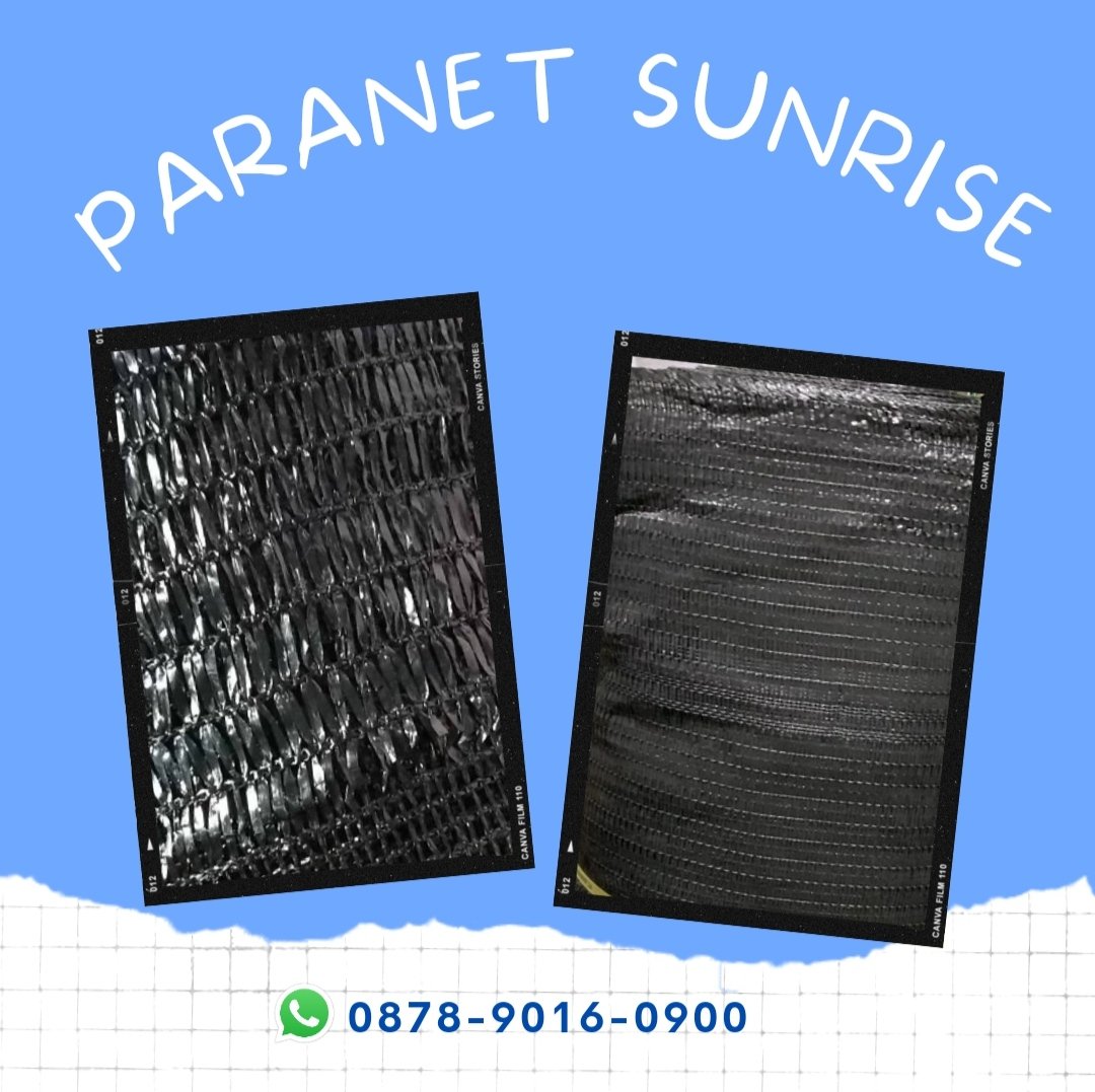 grosirparanet's tweet image. Partai Besar, WA+6287890160900, Grosir paranet dan plastik uv Surabaya

#paranetdesign #paranetdanplastikuv #dayatahanparanet #desainparanet #dindingparanet