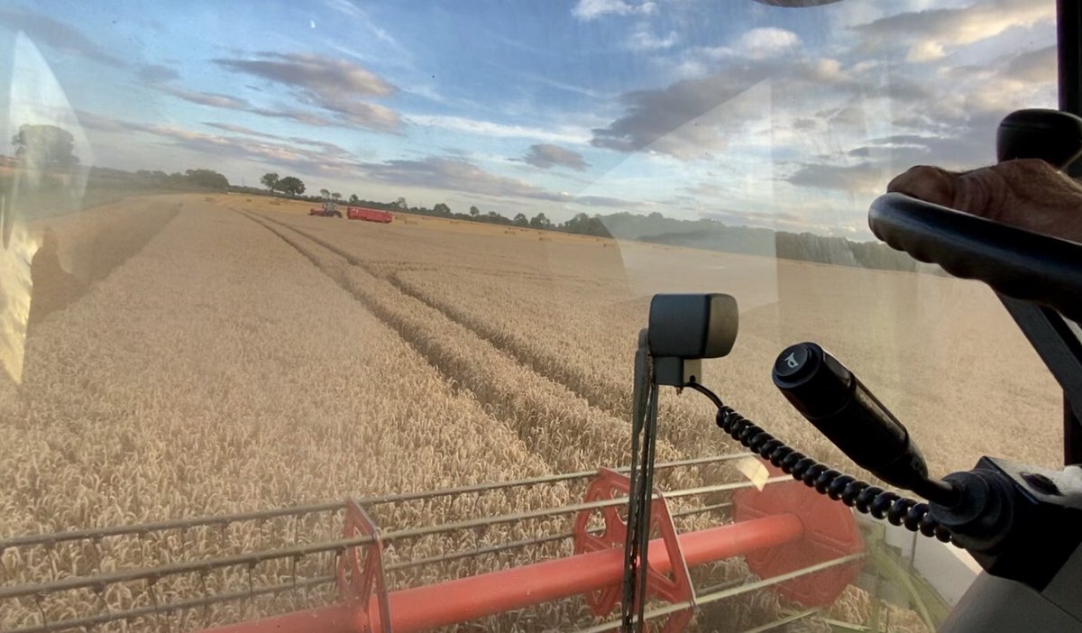 feel_paul's tweet photo. More #cereal obsession at #sunset… #harvest #harvest22 #agriculture #rural #rurallife #rurallifestyle in #godsowncounty #highcatton @sbib_bloom @East_Riding @VisitEastYorks @annarileynews https://t.co/1PaEn2D9Uy