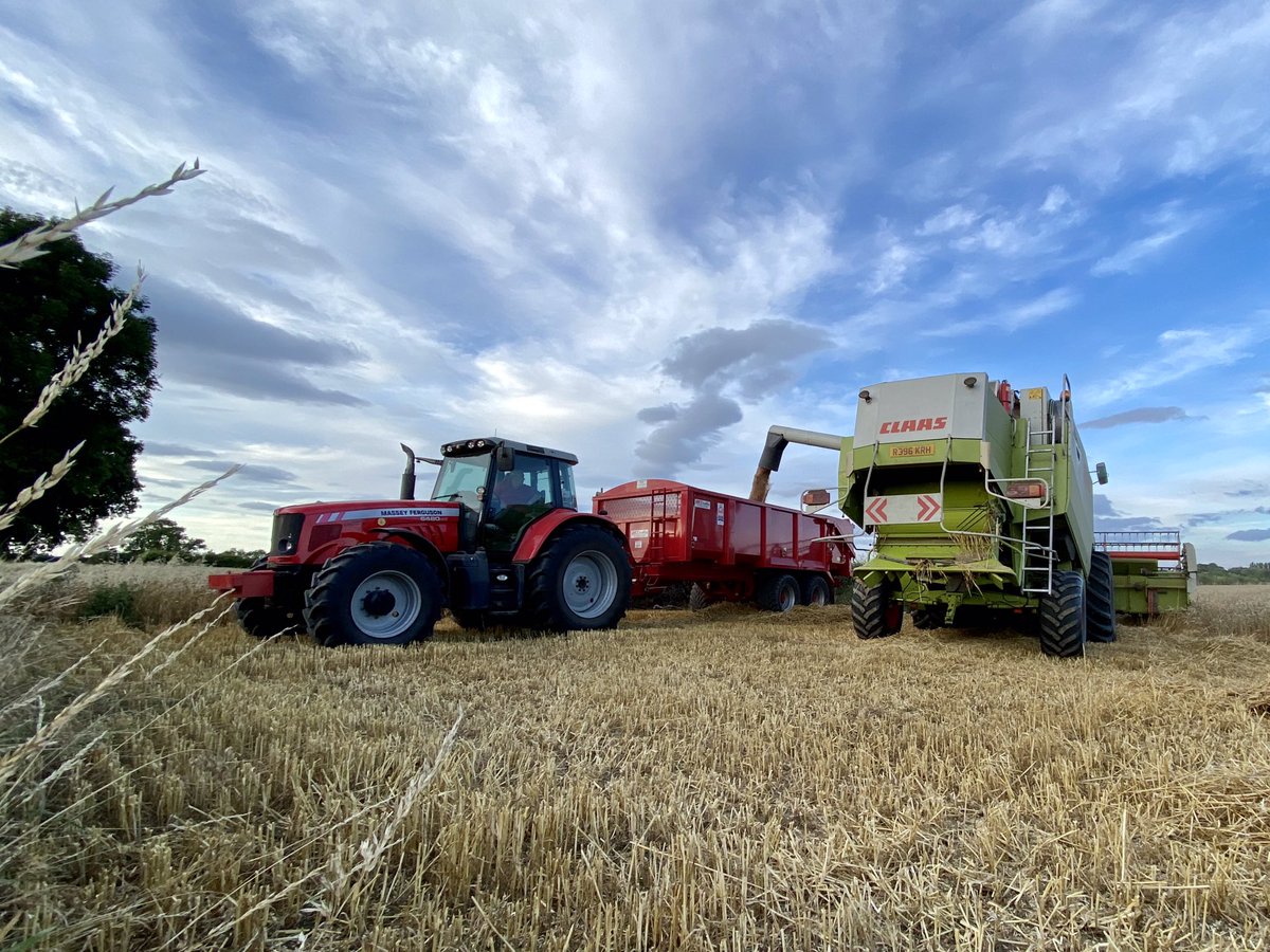 feel_paul's tweet photo. More #cereal obsession at #sunset… #harvest #harvest22 #agriculture #rural #rurallife #rurallifestyle in #godsowncounty #highcatton @sbib_bloom @East_Riding @VisitEastYorks @annarileynews https://t.co/1PaEn2D9Uy