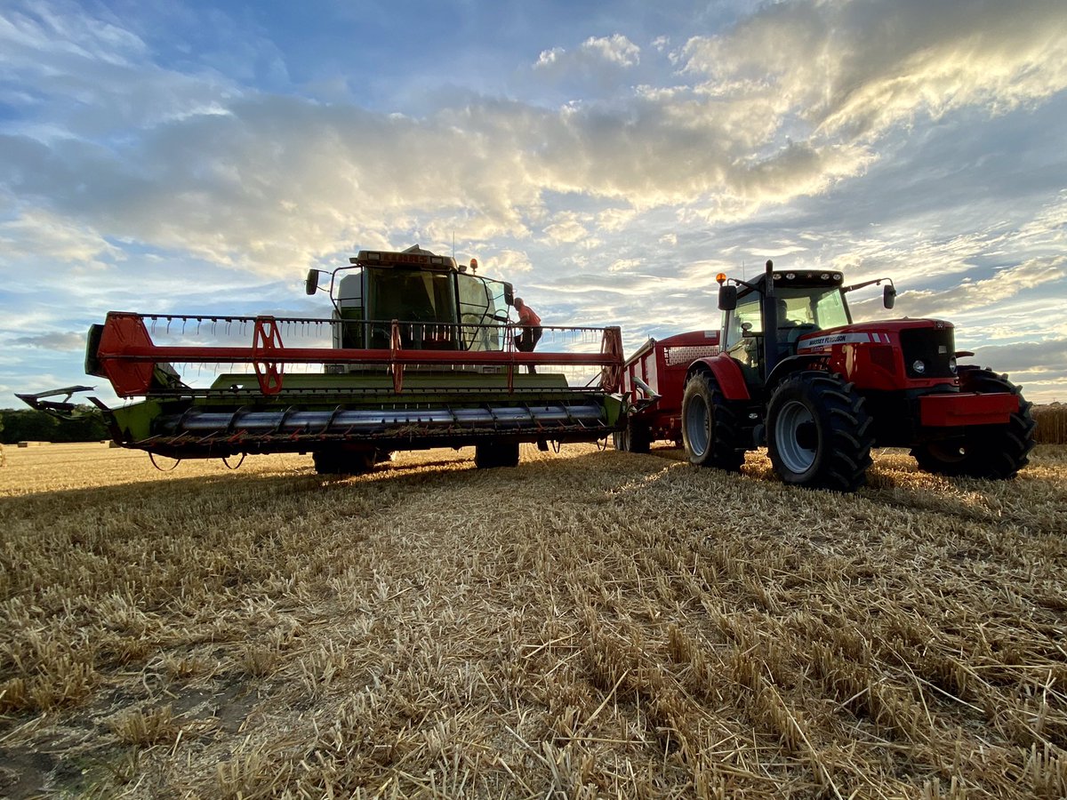feel_paul's tweet photo. More #cereal obsession at #sunset… #harvest #harvest22 #agriculture #rural #rurallife #rurallifestyle in #godsowncounty #highcatton @sbib_bloom @East_Riding @VisitEastYorks @annarileynews https://t.co/1PaEn2D9Uy