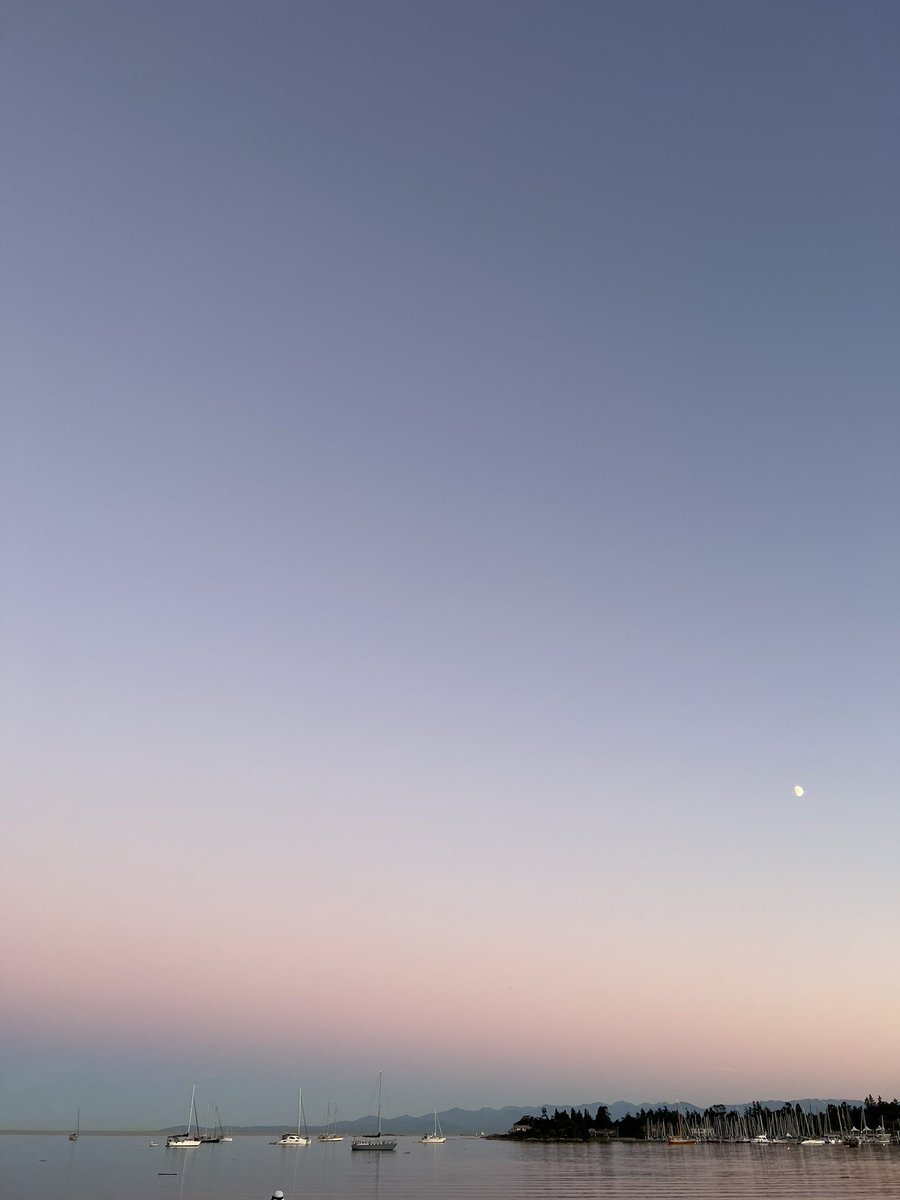 AriLatapi's tweet image. Beautiful moon!