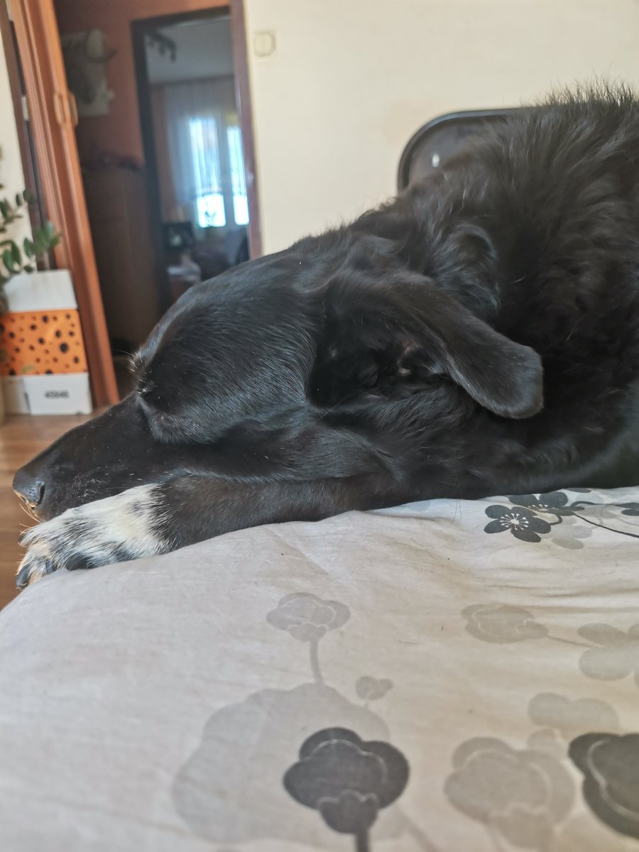 I jak ja wygonić na spacer. Ojciec ja chce spać 😁🥰😜