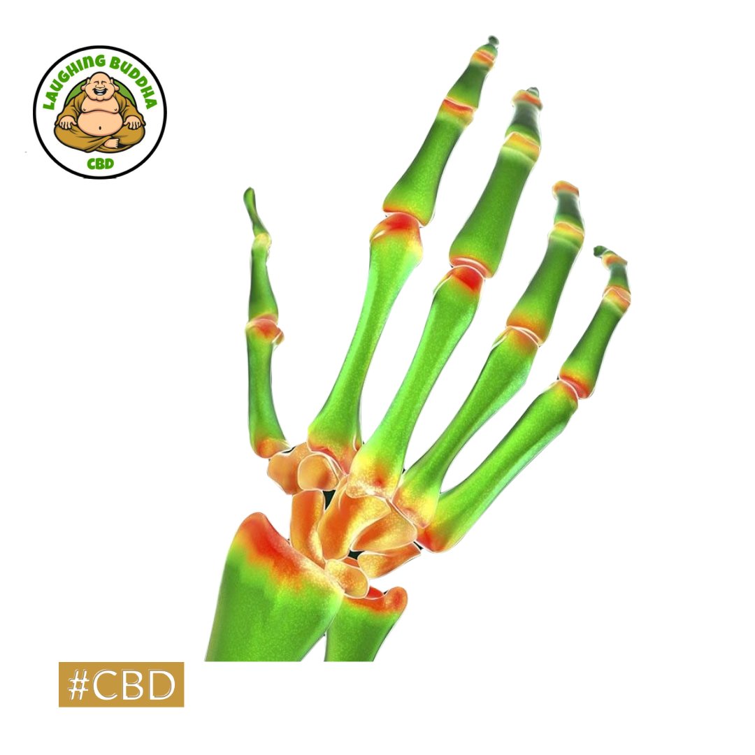 BuddhaCbd's tweet photo. CBD oil is a proven ands tested treatment for arthritis-related pain.
It affects receptors in the brain and immune system in the way that helps reduce inflammation and pain.
#holistichealth #holistichealing #holisticwellness #holisticliving #alternativemedicine #wellness https://t.co/sZl1zBicqw