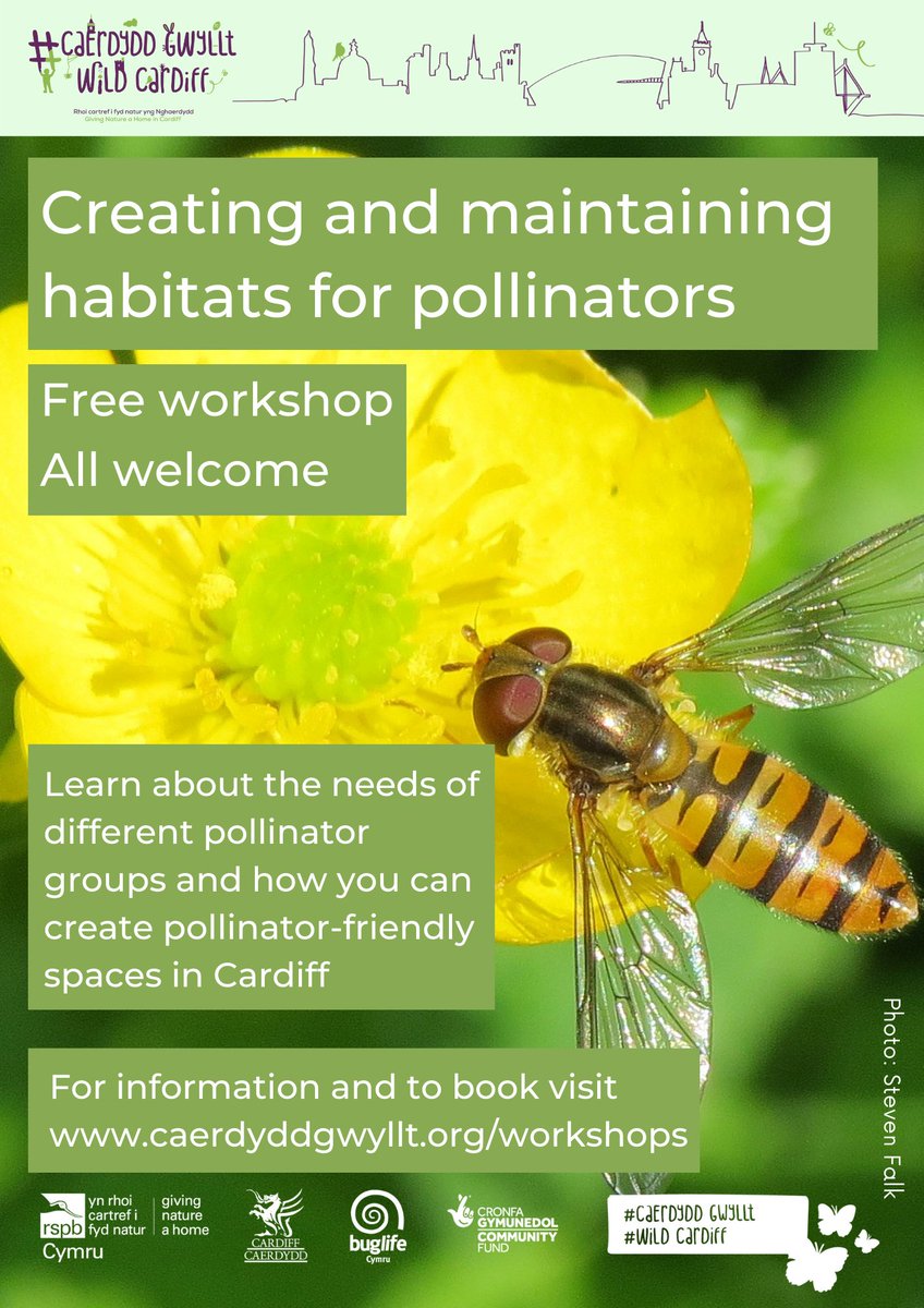 cardiffcouncil's tweet photo. 🐝 🌼 Free pollinator workshops! 

The Giving Nature a Home in Cardiff project are delivering FREE ‘Pollinator Identification’ and ‘Creating Habitats’ workshops in August and September. 

👉 For more info and to book your place, visit: https://t.co/YoSRN363WW

#WildCardiff https://t.co/FW1kOhQYV5