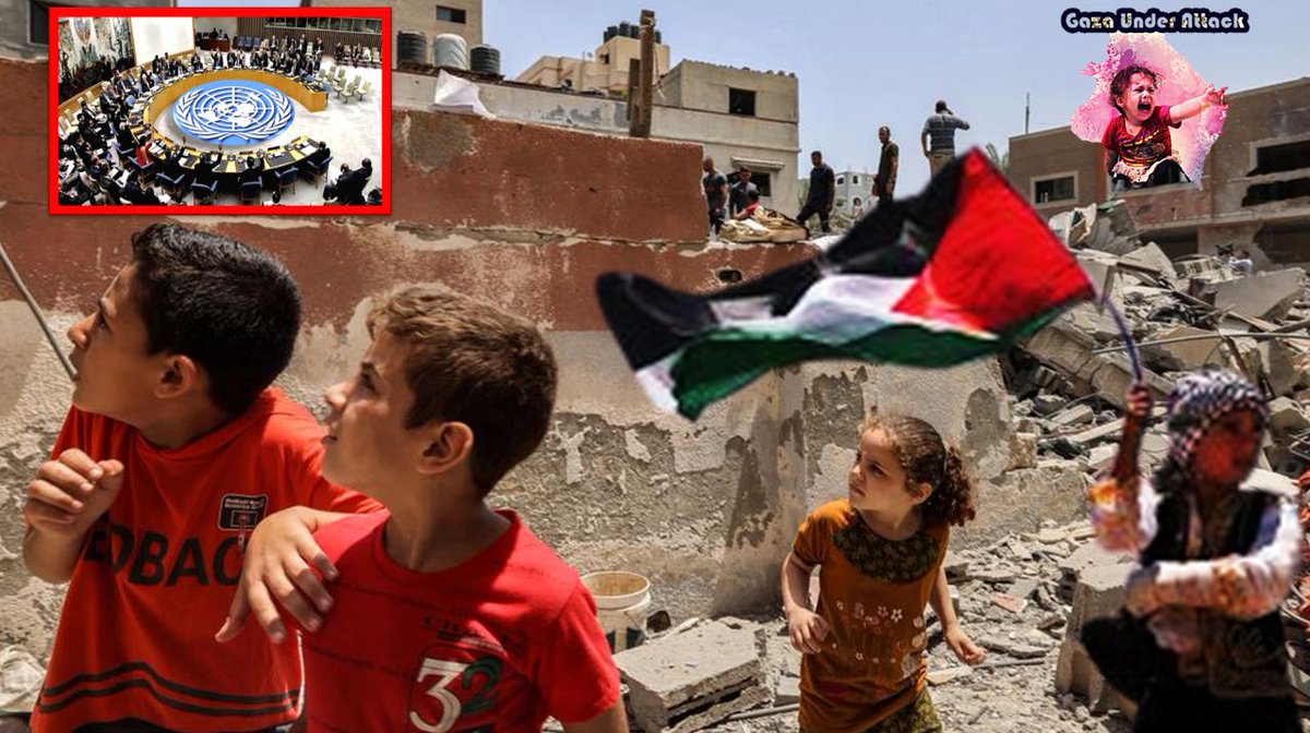 TurkiyeUrdu_'s tweet image. اسرائیل کی فلسطین پر بربیت اور ظلم
اقوام متحدہ کی سیکیورٹی کونسل کا اجلاس پیر کو طلب کر لیا گیا
اجلاس میں اسرائیلی فوج کے غزہ پر میزائل حملوں پر بات چیت کی جائے گی
اقوام متحدہ نے اسرائیلی حملے کی مذمت کی ہے
#GazaUnderAttack #GazaStrip #PalestinianLivesMatter