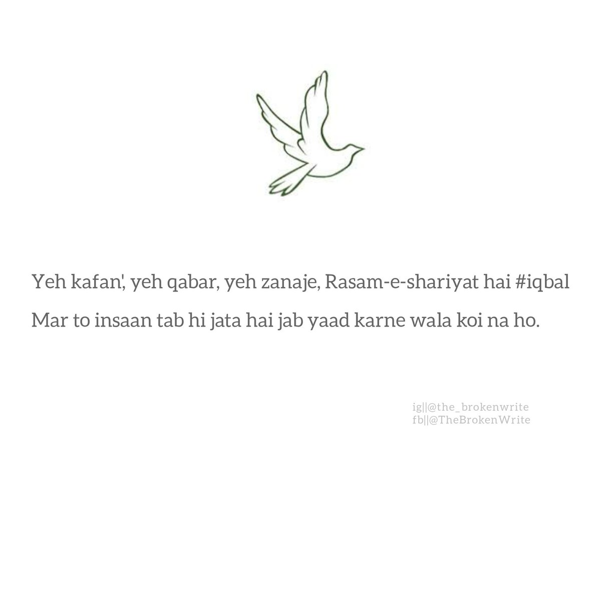 TheBrokenWrite's tweet image. #TheBrokenWrite
#the_brokenwrite
.
.
.
.
.
.
Admin @FaizanATahir 
.
.
.
.
.
.
#india #ghazal #urdupoetry #Urdu #Gulzar #allamaiqbal #Twitterhub #TwitterOfTime
