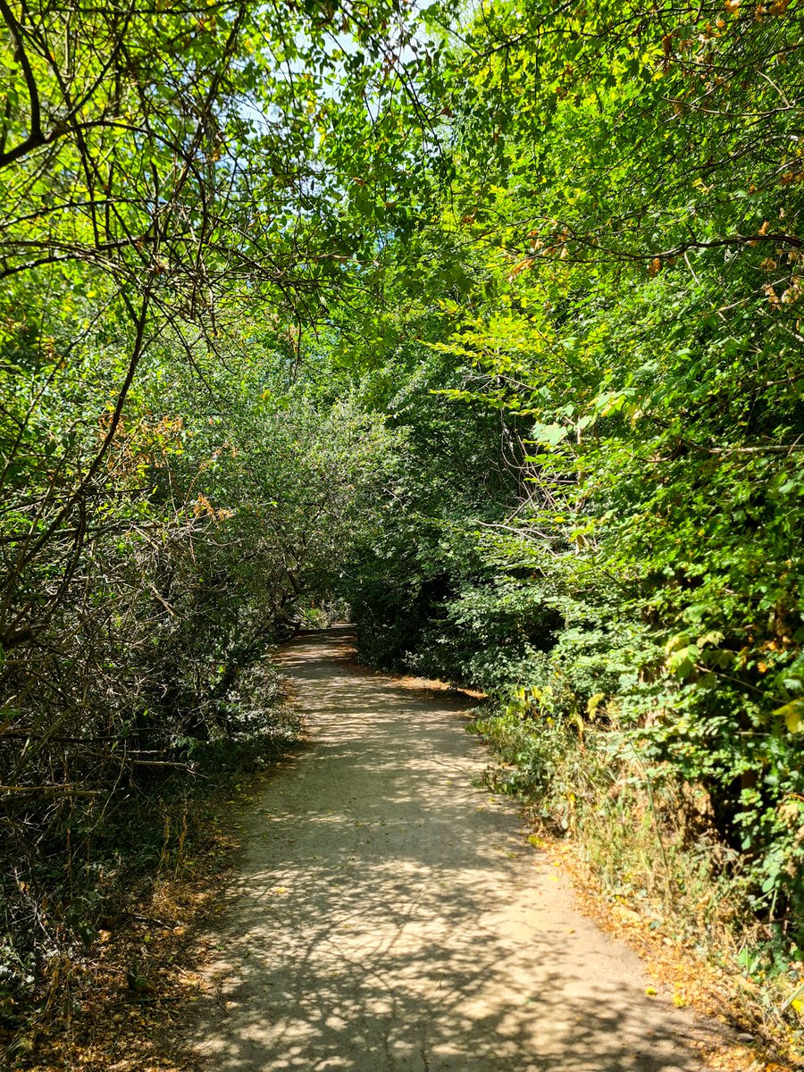 artkidtroy's tweet photo. London Loop | Section 18 | Chingford to Enfield Lock
#londonloop #hiking #exploringlondon #walkingadventures #london #chingford #leavalley #enfield #enfieldlock #leanavigation https://t.co/QXL5cF3DSP