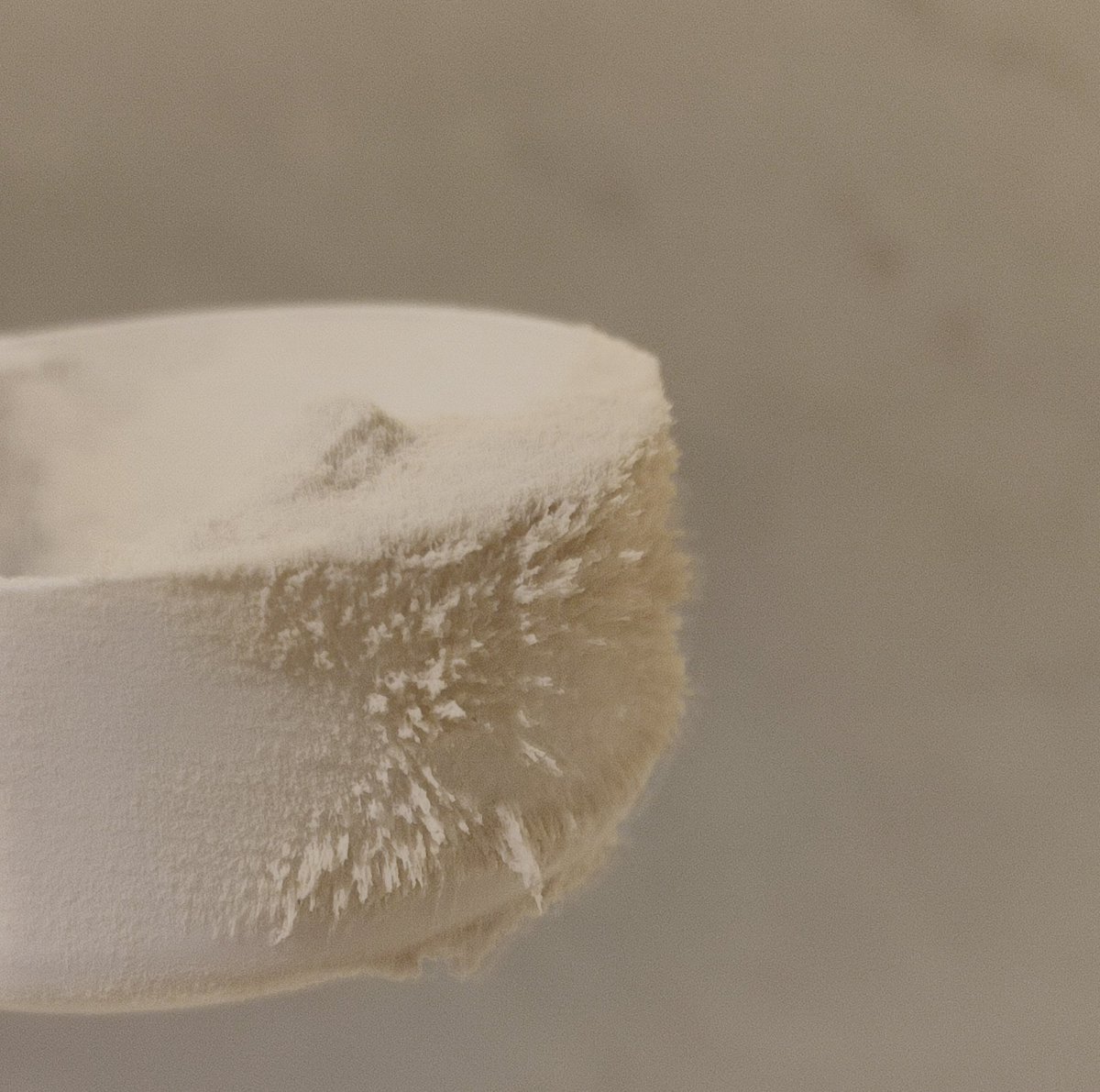 Fernando 🌺🌌 tweet media