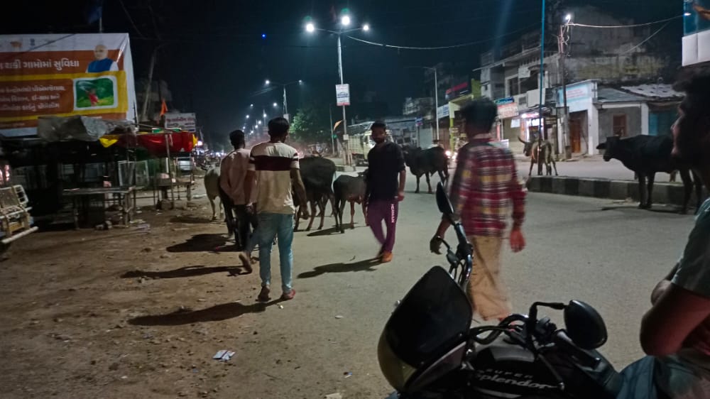 જય શ્રી રામ🚩 જય શ્રી ગૌ માતા🕉️
 
 વિશ્વ હિન્દુ પરિષદ બજરંગ દળ વડાલી પ્રખંડ ખેડબ્રહ્મા જીલ્લા કાર્યકર્તાઓએ રાત્રે 95 ગાયો ને રસી આપી......
#BajrangDal #जयश्रीराम 
#lampivirus