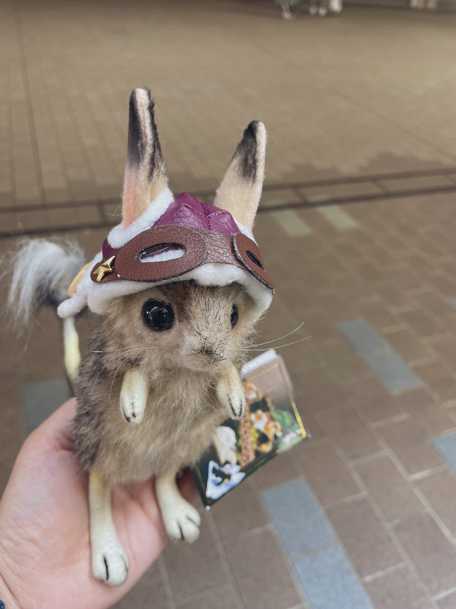 urukutan's tweet photo. ネズミ好きーげっしー好きーに
どストライクのぬいぐるみ。
#トビネズミ
帽子は別のお店で購入(*´艸`)

#レプタイルズショー https://t.co/fXwXozscXx