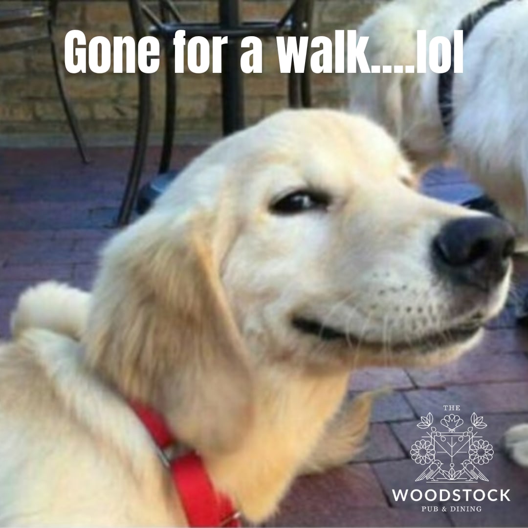 Gone for a walk............. technically its not lying, its just missing the detail! TO THE PUB! No need to book, just go for your walk and we are ready at the pumps! Fancy a longer walk without the washing up, click the link below thewoodstockarmsdidsbury.co.uk/onlinebookingf… #dogs #beer #pub