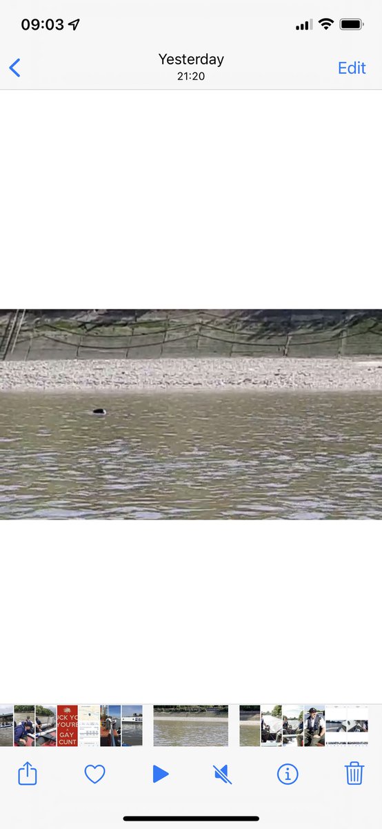 We were happy to help a barge that had run aground yesterday and also spotted a seal. An eventful afternoon. Good training for the crew and great teamwork.