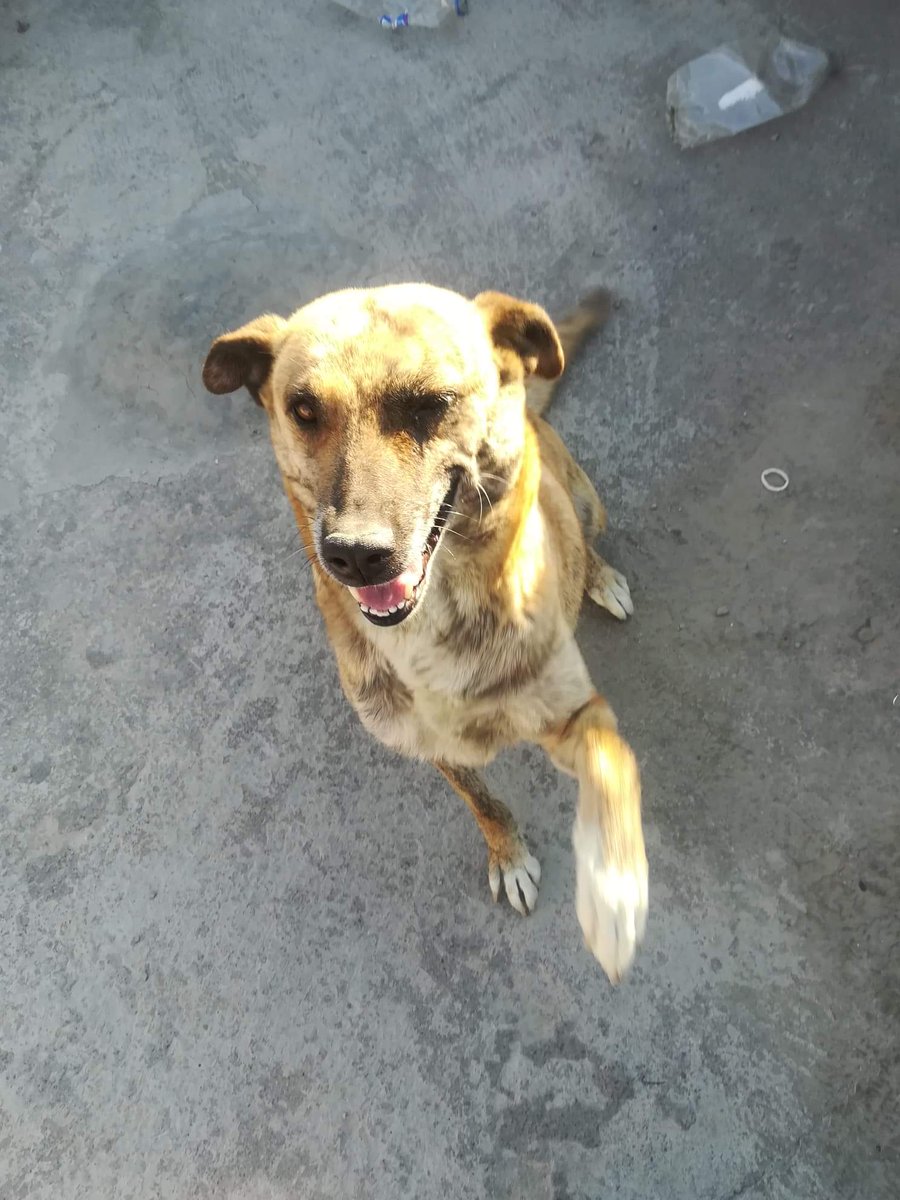 Jorge Alberto (@jorgea088) on Twitter photo 