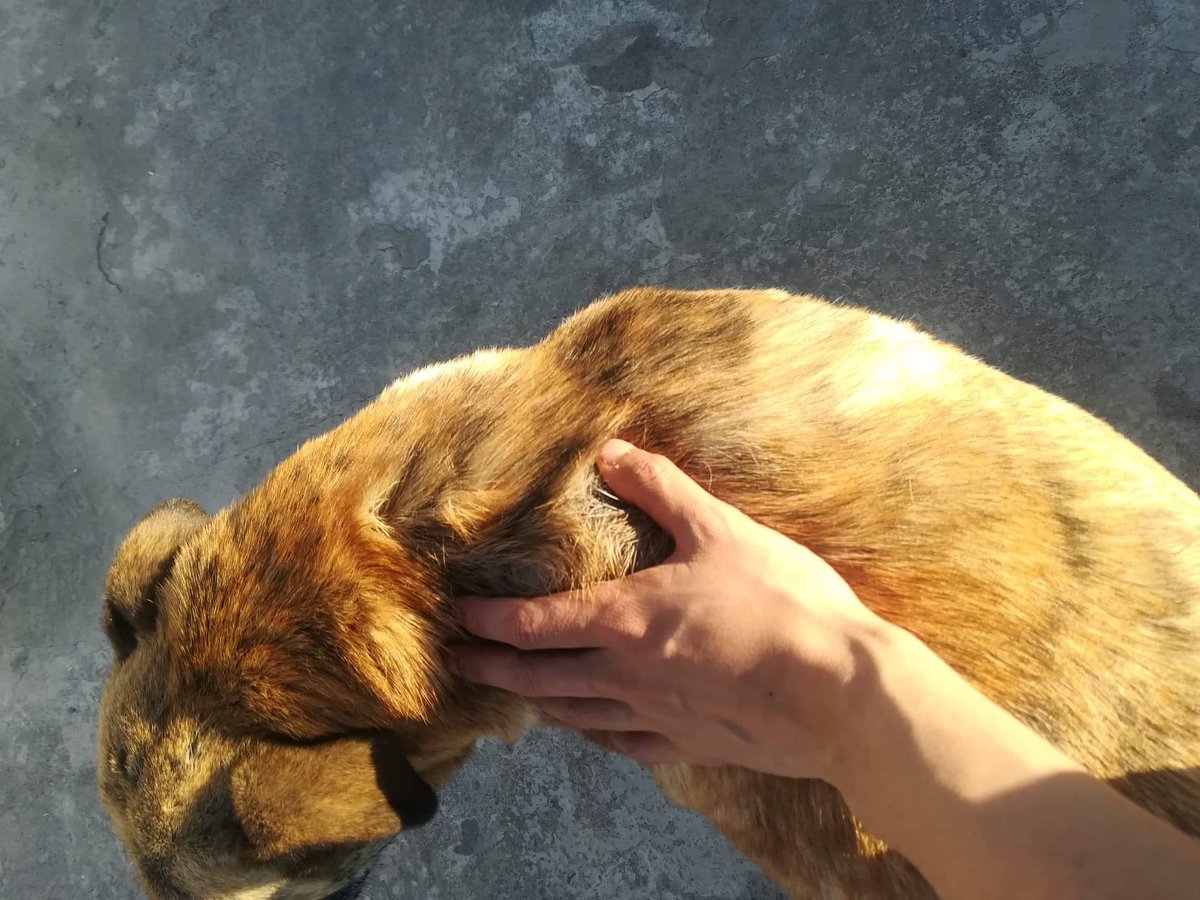 Jorge Alberto (@jorgea088) on Twitter photo 