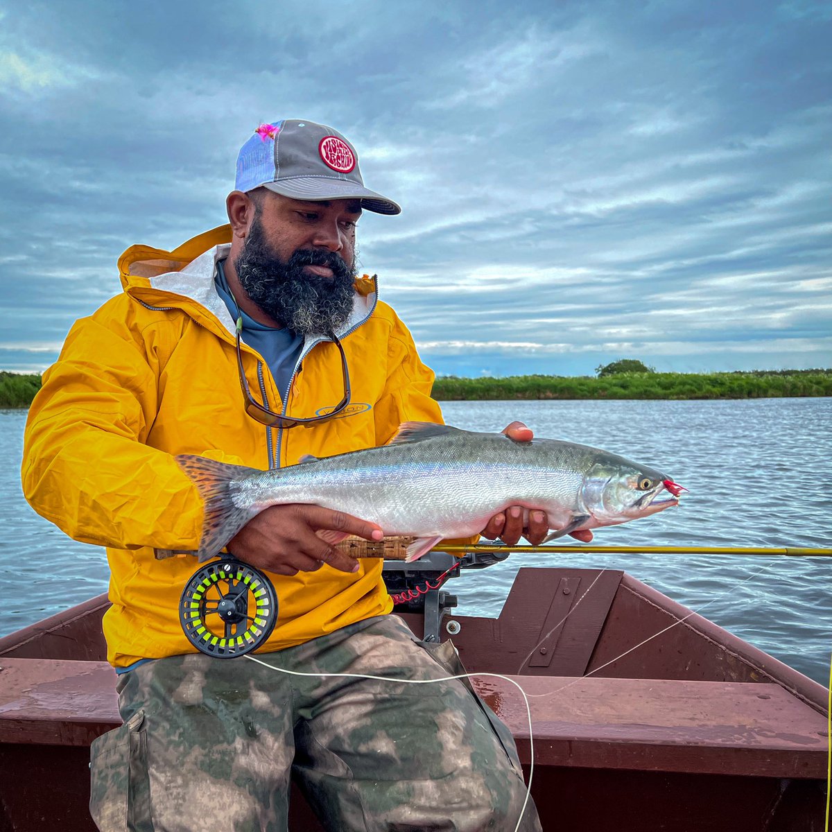 PrimeOctopucs's tweet photo. The river Bolshya /Kamchatka is just amazing and the environment around it is a compliment of the beauty and richness. My time in the river is coming to an end. I feel privileged, full and satisfied by the great fisheries it had offered. My Vision Onki 7wt on a Pacific salmon. https://t.co/25GksL8zS5