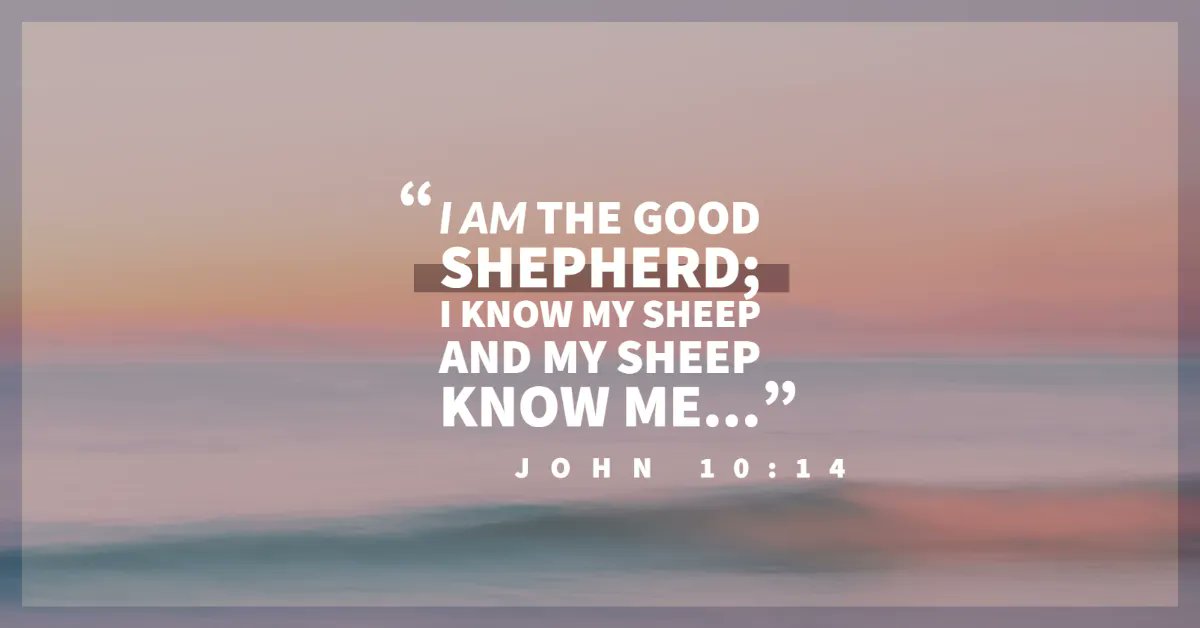oneplacecom's tweet image. Jesus is the Good Shepherd! Give this teaching a listen and learn of the many ways that He takes care of us. ❤️
bit.ly/3Q2gzcD