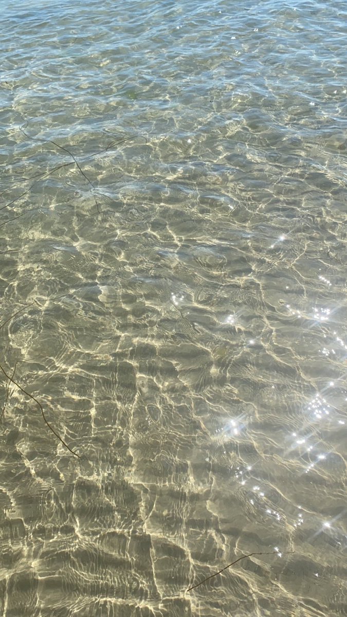 the3rdmitchell's tweet image. Southsea at her absolute best this morning. Paradise ☀️ 🏝