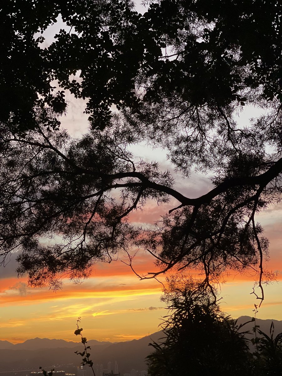 A beautiful evening in #HongKong ❣️