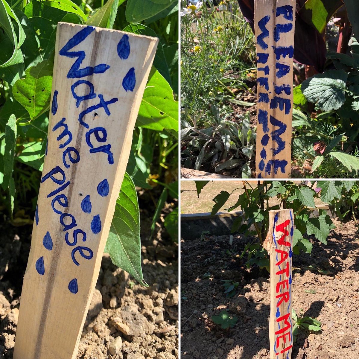 The little green town project tweet media