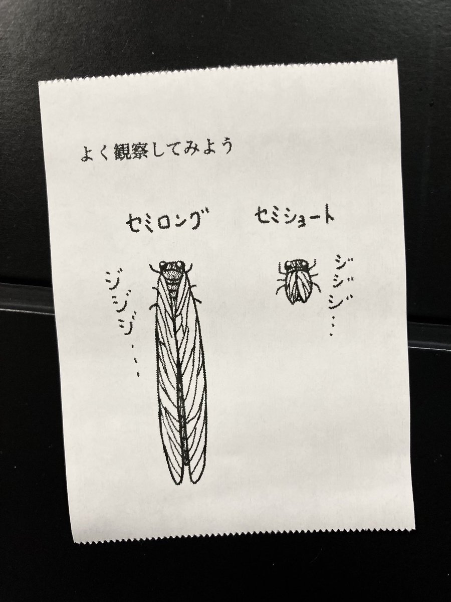 今日の怪文書 