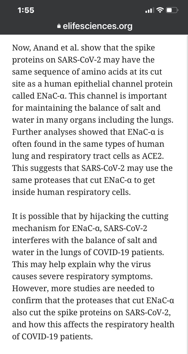 RealGeorgeWebb1's tweet photo. What the real target of CoronaVirus?  It’s not ACE2 like you think. It’s your blood vessels. Remember IBM’s ENIAC computer. Move over ENIAC, there a new ENiaC in town. https://t.co/jKAgscPs5e