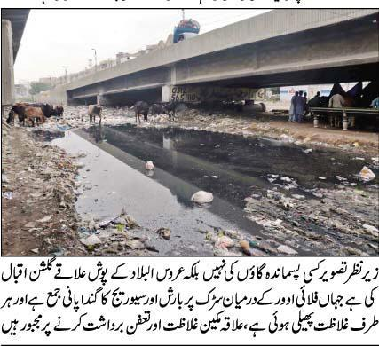 cp_khalid's tweet photo. Jiye Bhutto
#PPP #Mqm #Murtazawahab @murtazawahab1
#Karachi #ام_حریم #shamelessPPP #ExpressNews https://t.co/2mMaOI8pcm
