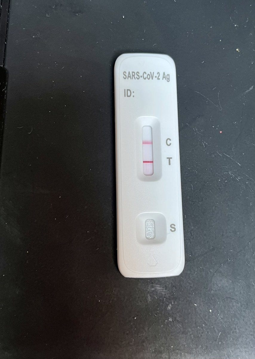 Christina Hansen Wheat tweet media